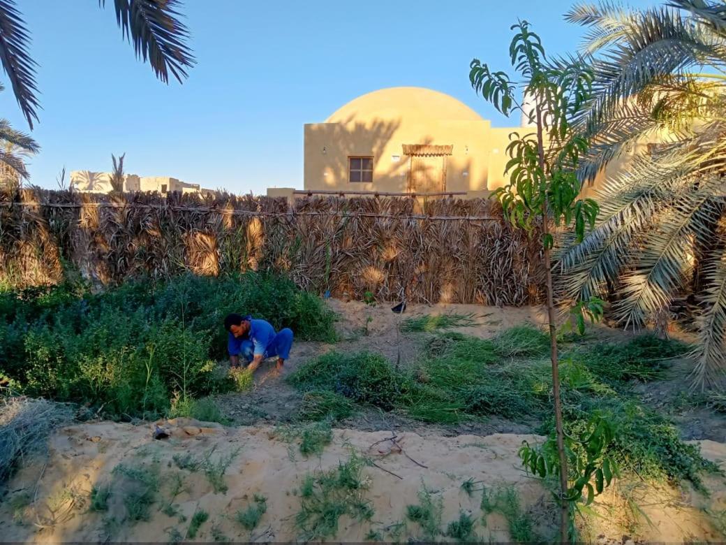 Вілла Wafla Siwa Oasis Екстер'єр фото