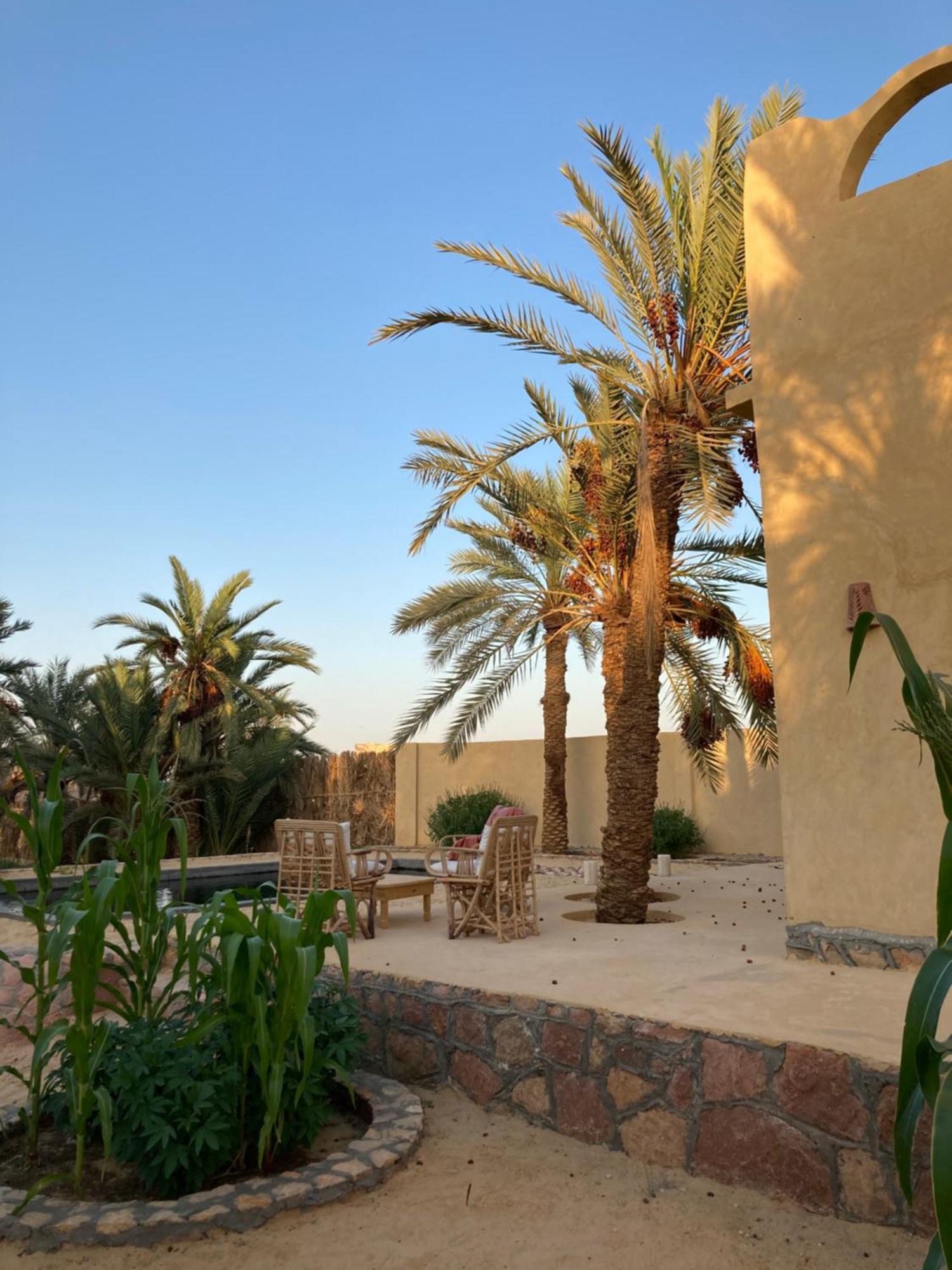 Вілла Wafla Siwa Oasis Екстер'єр фото