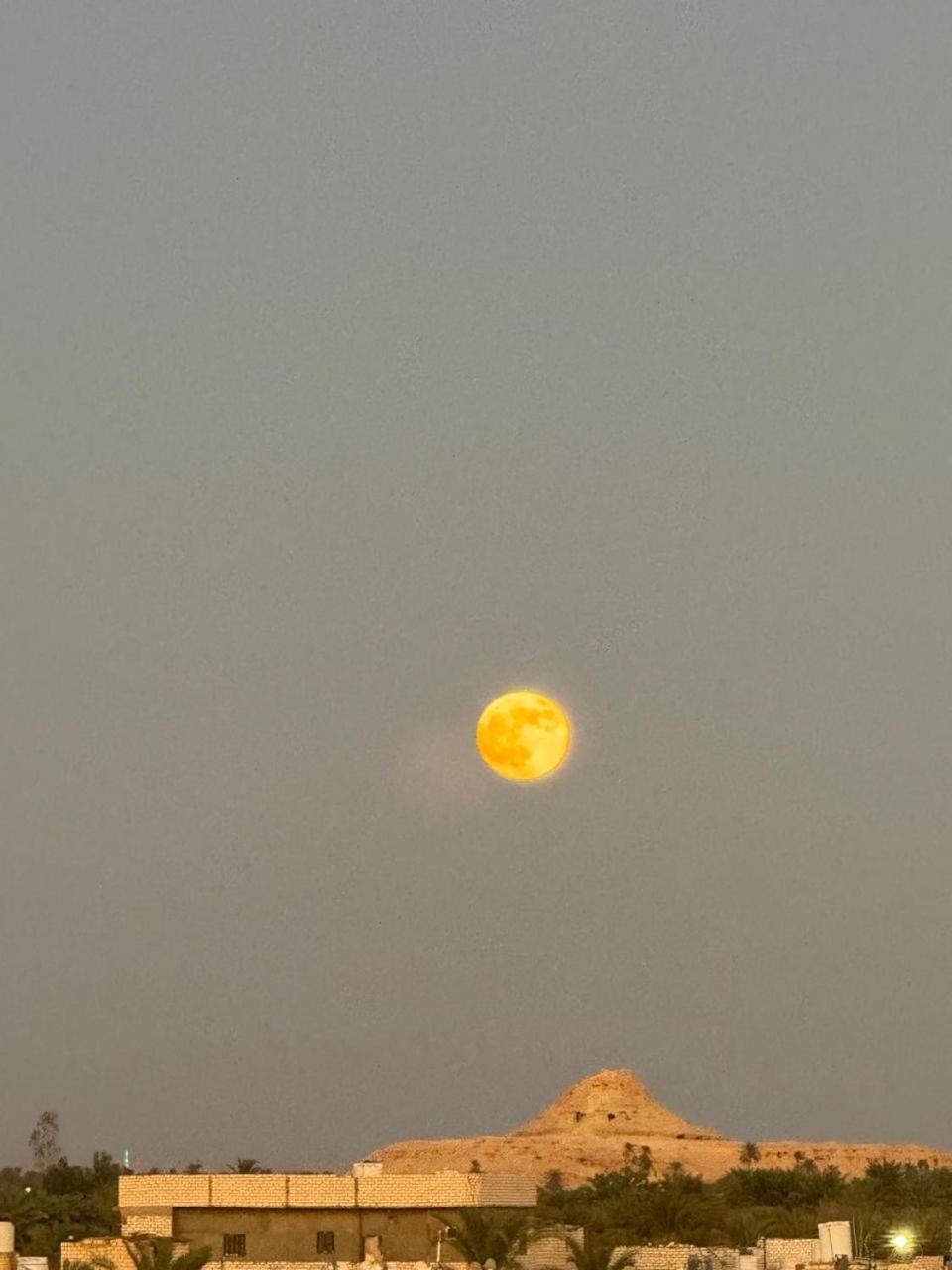 Вілла Wafla Siwa Oasis Екстер'єр фото