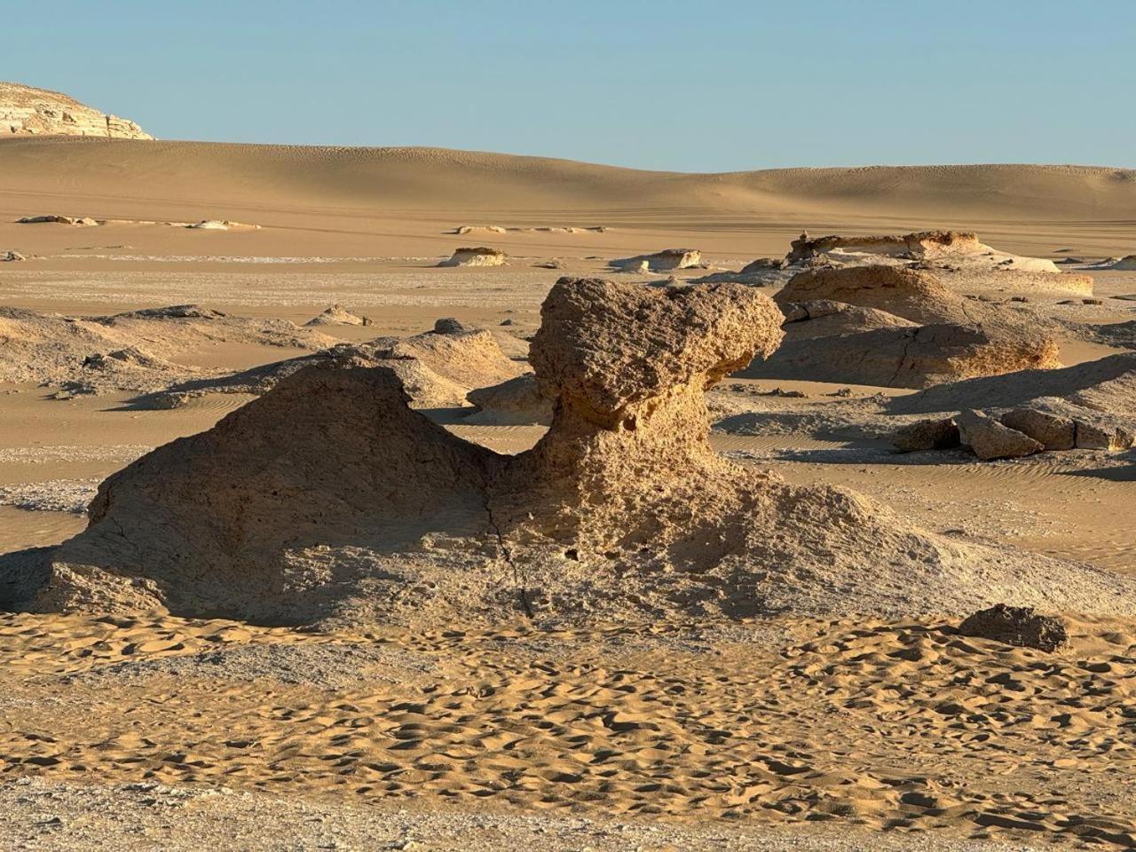 Вілла Wafla Siwa Oasis Екстер'єр фото